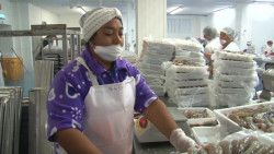 De 600 MDP impacto en Sinaloa por paro nacional 9M