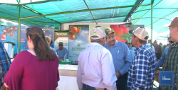 Celebraran dia del agricultor los dias 18 y 19 de marzo