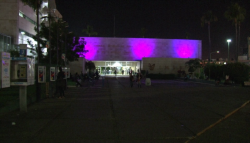 Se "viste" de morado el IMSS