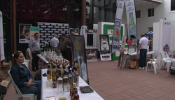 Arranca la Fiesta del Agave en Mazatlán