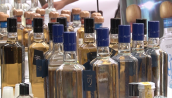 Vive el agave un "boom" a nivel internacional