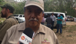 17 incendios se registraron en 2019 por negligencias del hombre: CONAFOR