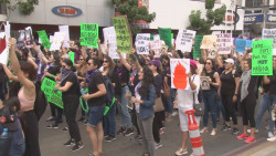 Movimiento de mujeres nadie los detiene