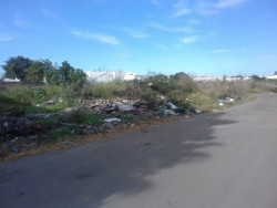Camellón se vuelve un basurero clandestino