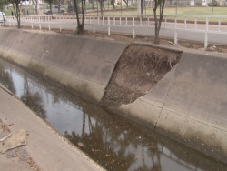 Arroyo con agua y tierra estancada