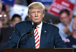 Donald Trump declara estado de emergencia en Estados Unidos