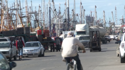 Amarrados barcos ante el establecimiento de la veda del camarón