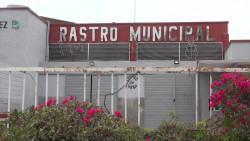 Cumplen cuatro días 'bloqueados' en el Rastro Municipal