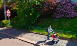 Google Maps capta a mujer paseando a su perro ¡en una carreola!