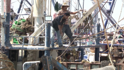 Desmantelan barcos en el muelle del parque Bonfil