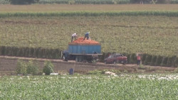 No se han presentado afectaciones en las exportaciones de hortalizas hacia los Estados Unidos