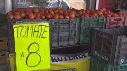 Favorece a horticultores paridad del peso-dólar y las ventas en supermercados de Estados Unidos