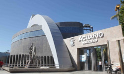 Anuncia Acuario cierre temporal por el coronavirus