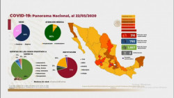 Domingo 22 de marzo: aumentan a 316 infectados de coronavirus en México.