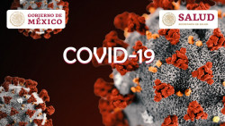 EN VIVO Conferencia de Prensa Secretaría de Salud acerca del Coronavirus COVID-19