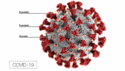 Fase 3 por Coronavirus. ¿Cuándo llegará? ¿En qué consiste? y ¿Cómo afectará al país?