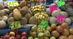 No debe subir precio de productos sanitizantes, de la canasta básica ni tortilla, afirma PROFECO