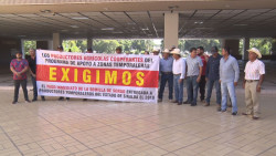 Productores de semilla de sorgo exigen el pago del grano