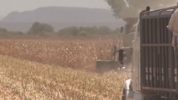 Se deben establecer límites en los precios de los insumos al campo