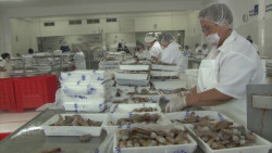 Aniquilados 25 millones de empleos por coronavirus