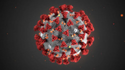 Si te quedas en casa minimizas el riesgo de contagio