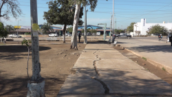 No permiten instalación de tianguis en Mazatlán