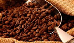 La producción de café de Colombia cayó un 12 % en marzo