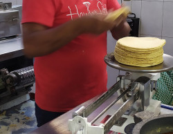 Gobierno de México garantiza el abasto de maíz y el precio de la tortilla