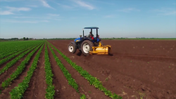 Prioridad asegurar producción alimentaria en el país