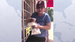 Llama Senadora a apoyar el consumo local