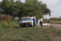 Encuentran a dos personas asesinadas en Costa Rica