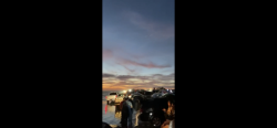 Niegan  la SSP que haya paseantes en Ponce