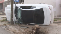 Atropellan a un adulto mayor y se impactan contra el tronco de un árbol