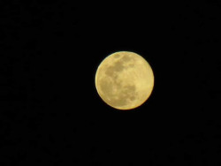 ¿Ya viste la Súper Luna Rosa?