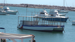 Desalentador el panorama para catamaranes en esta Semana Santa