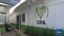 Apertura CIFA teléfonos para atención de problemas emocionales