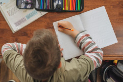 Regreso a clases "a distancia", un desafío de adaptación: Mexicanos Primero Sinaloa