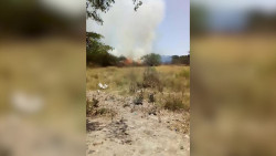 Se incendia maleza y atemoriza a habitantes en Villa Unión