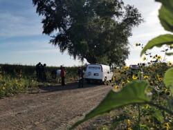 Encuentran a joven asesinado a balazos en Navolato