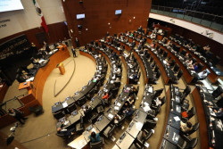 Senado aprueba ley de amnistía. Te decimos en qué consiste.