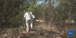 "No era mi hijo", líder de Madres Buscadoras de Sonora
