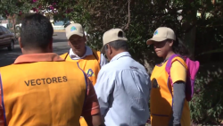 ¡A mantener sus patios libres de cacharros!