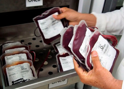 Invitan a donar sangre de manera altruista