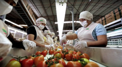 En crecimiento económico Sinaloa es 9°lugar nacional