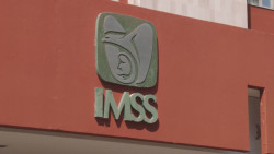 Habrá investigación al hijo de Bartlett y al IMSS