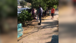 Envenenan animales en varias colonias de Mazatlán