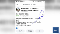 Trolean en redes sociales a la presidenta de Navojoa