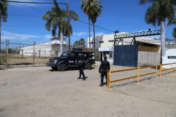 Reo con COVID-19 ya fue dado de alta