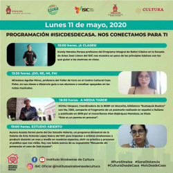 Programación ISIC desde casa