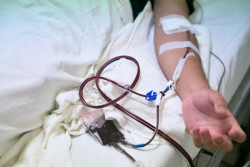 IMSS,  institución del país certificada para hacer uso de plasma convaleciente